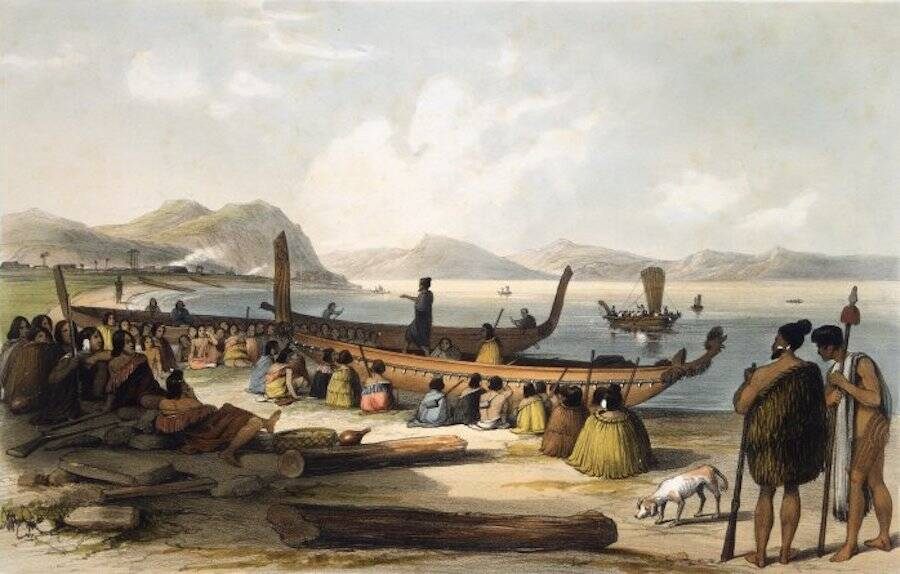 Новейшее изучение демонстрирует, то что мореплаватели-маори имели возможность достигнуть Антарктиды в 1200 года ранее европейцев.