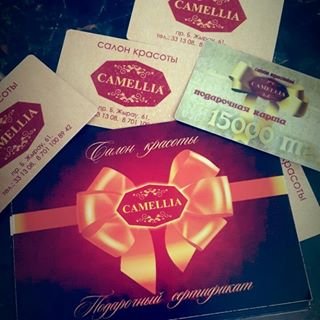 karaganda_salon_camellia